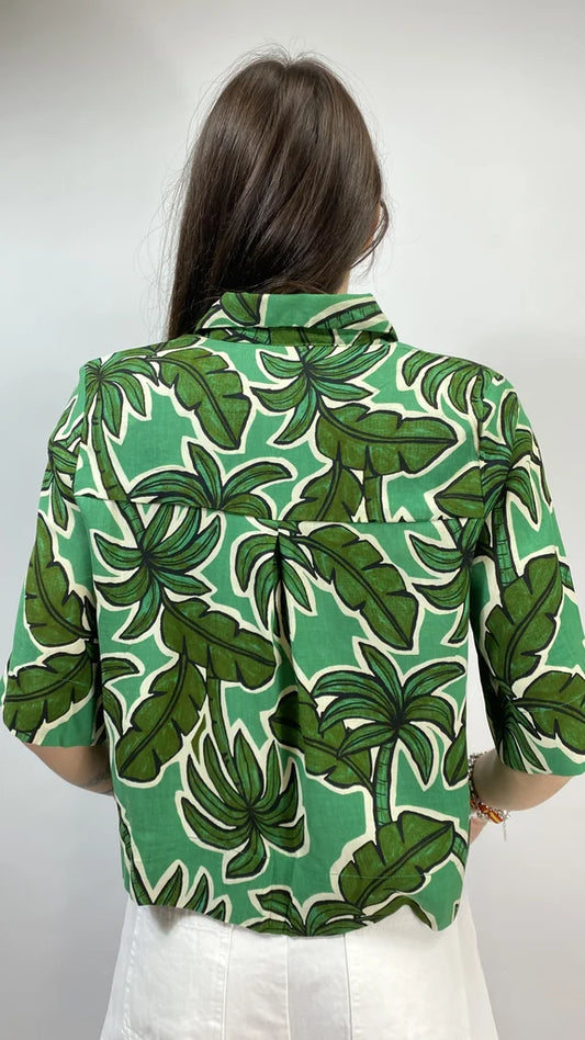 CAMICIA 43002